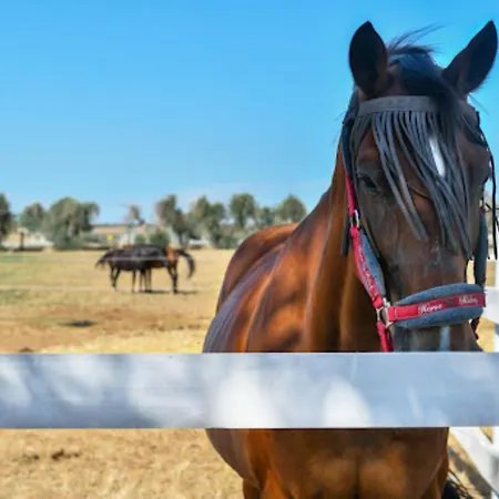 Apartment La Corte Dei Sarti